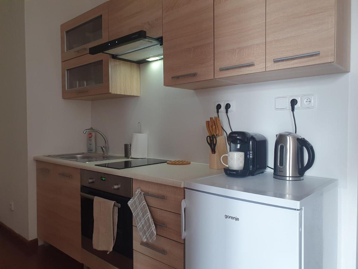 شقة Apartman S Wellness كارلوفي فاري المظهر الخارجي الصورة